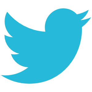 Logo Twitter personnalisé